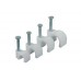 Cable Clips 100pc Eurolamp 8/25